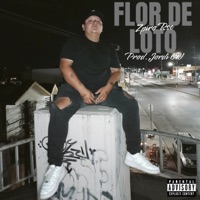 Flor de Loto - Single - Zpiro Rsc & Jordi Ov