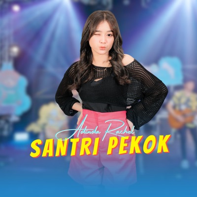 Santri Pekok - Single
