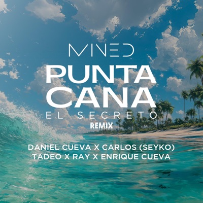 El Secreto (Mined Punta Cana) (feat. Carlos Aguilar (Seyko), Tadeo Ampuero, Ray Cruz & Enrique Cueva) [Remix] - Single