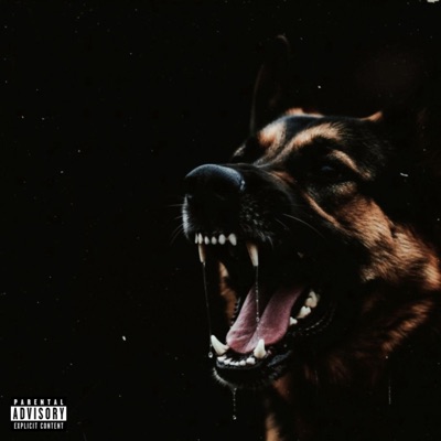 CANI RANDAGI - Single