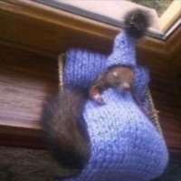 Letmego - Single - e1fblood