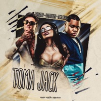 Toma Jack - Single - Davi Kneip, MC PL ALVES & DJ Monaliny