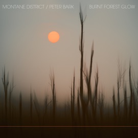 Burnt Forest Glow Montane District & Peter Bark