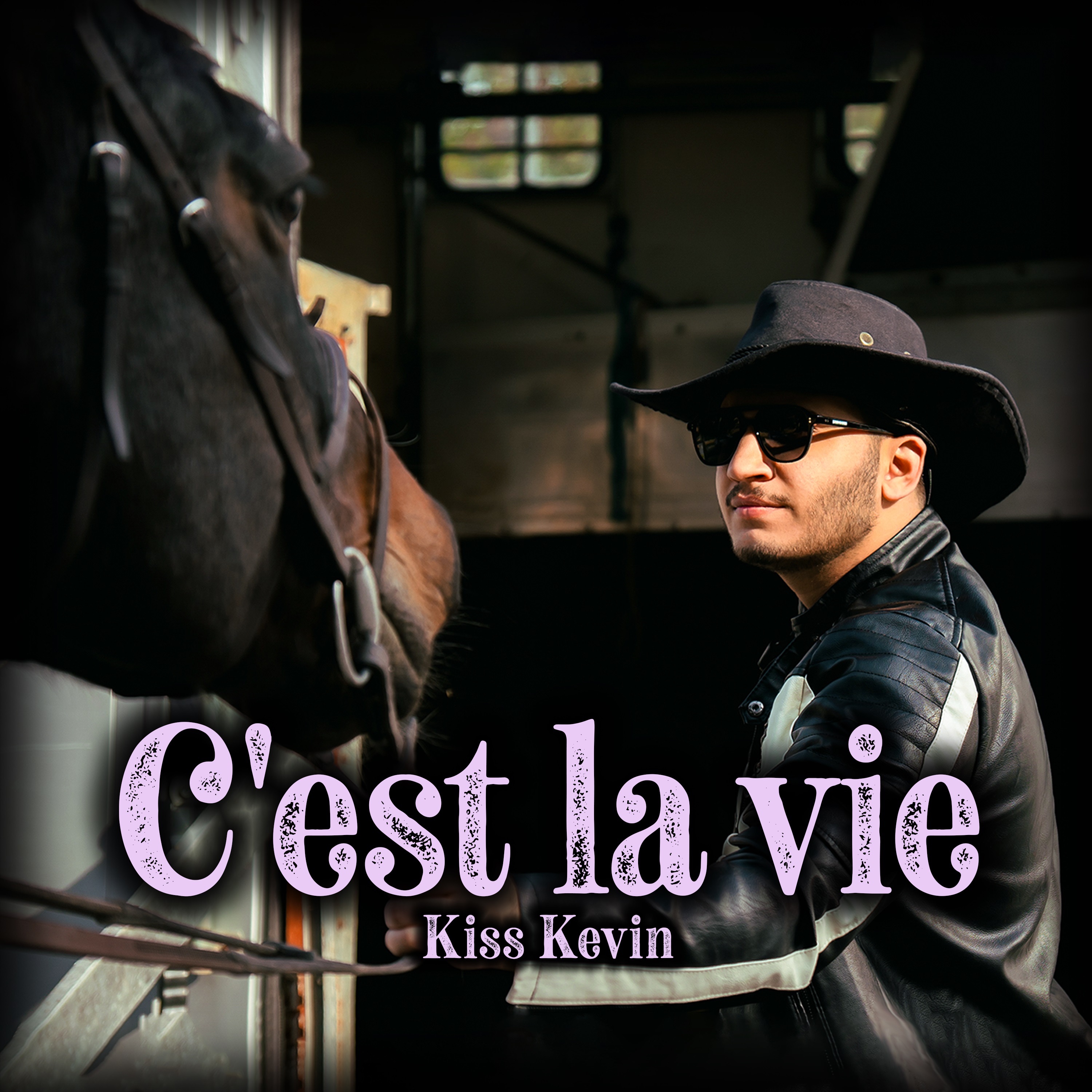C'est la vie - Single