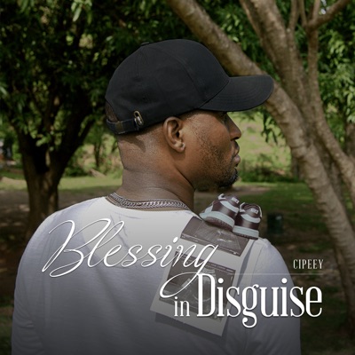 Blessing In Disguise - Single