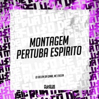 Montagem Pertuba Espirito - Single - Dj belem da gama & mc Evellyn