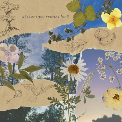 Marieke - What Are You Praying For?