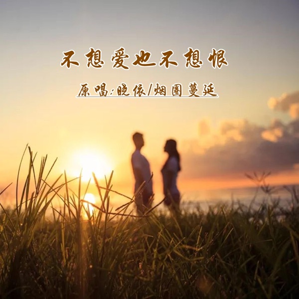 不想爱也不想恨 (DJ对唱版) - Single