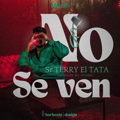 No se ven - Single