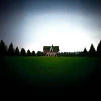 INSANE ASYLUM - Single - Dallas Turner