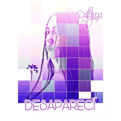 DESAPARECÍ - Single
