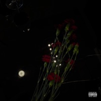 STICK (feat. Leno TK) - Single - Irys