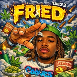 Fried Tae23
