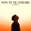 NON TE NE ANDARE