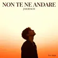 NON TE NE ANDARE