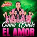 TE OLVIDARE