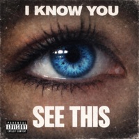 i Know You See This (feat. Eli Fross) - Single - Omni Isle