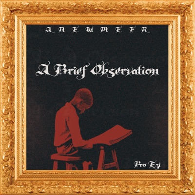 A Brief Observation - EP