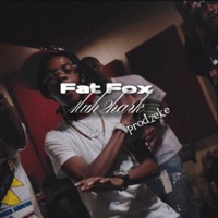 Fat Foxx Flow - Single - 1luh2hark