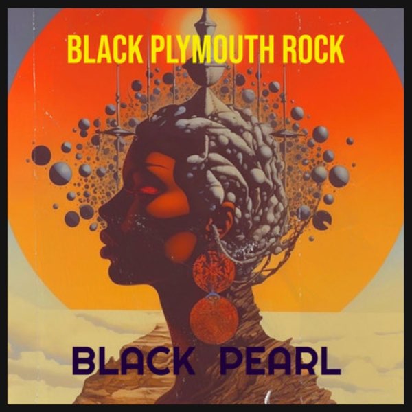 Black Plymouth Rock - Single - Album by Black Pearl - Apple