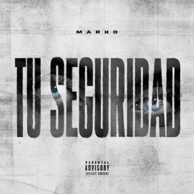 TU SEGURIDAD - Single