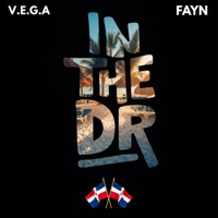 In The DR (Radio) - Single - V.E.G.A & Fayn