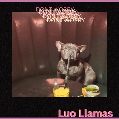 DON'T WORRY - Single