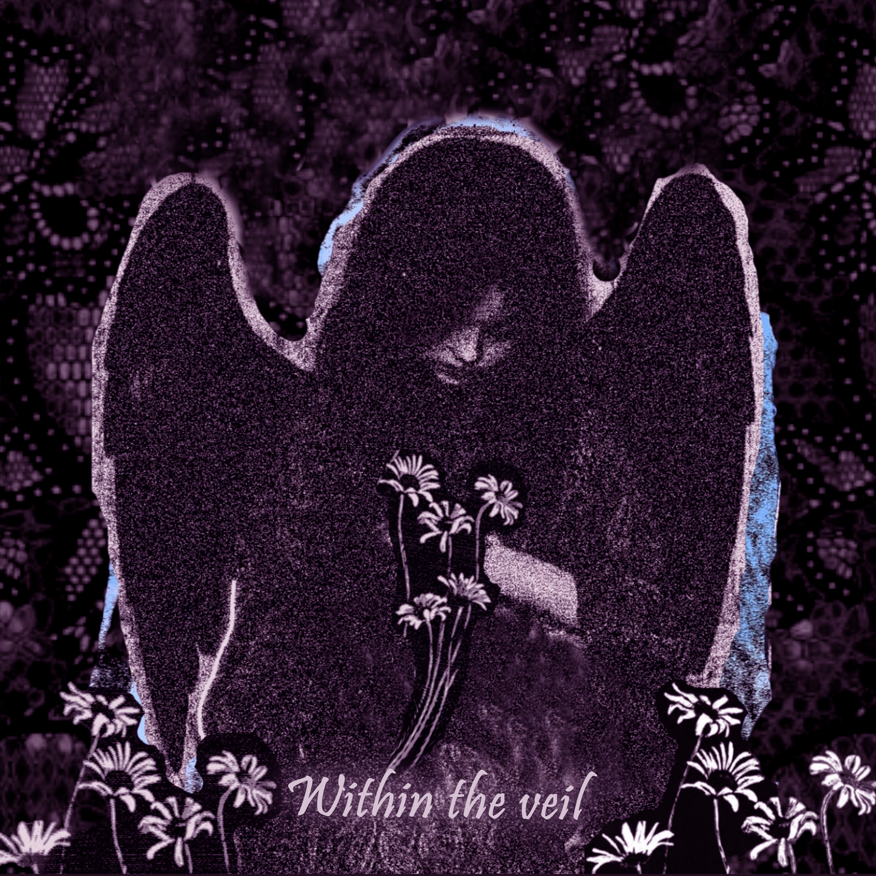 Within The Veil - Single