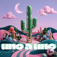 Uno a Uno - Single