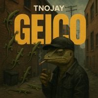 GEICO - Single - Tn0jay
