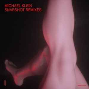 Snapshot (Remixes) - EP