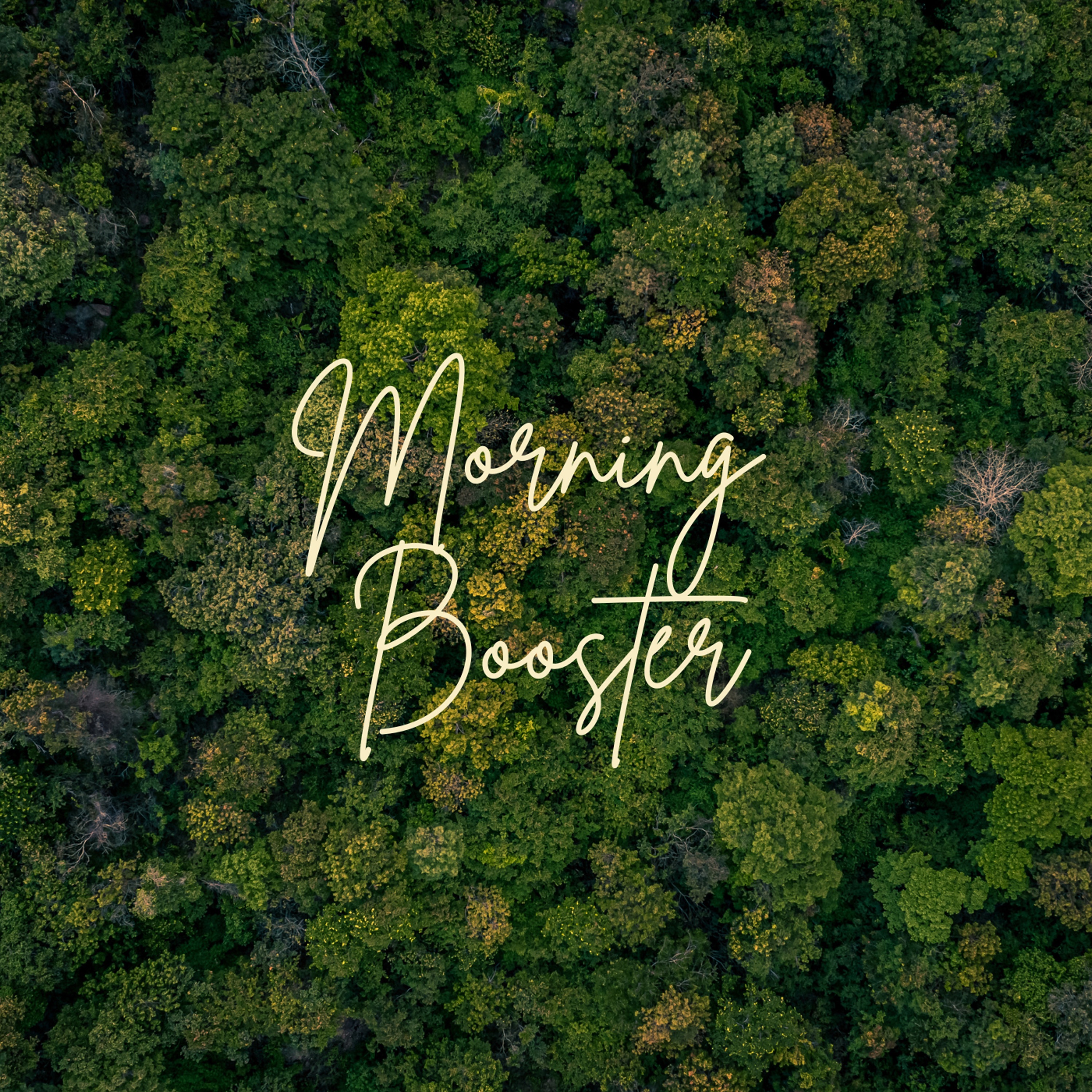 Morning Booster - Single