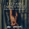 Barbra Streisand - Love Will Survive (from The Tattooist of Auschwitz)  artwork