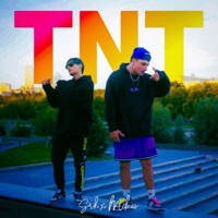 TNT - Single - SRK & Mibas