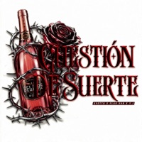 CUESTIÓN DE SUERTE (feat. Flak Van & Y.J) - Single - GVETTO