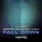 Fall Down (Dub) artwork