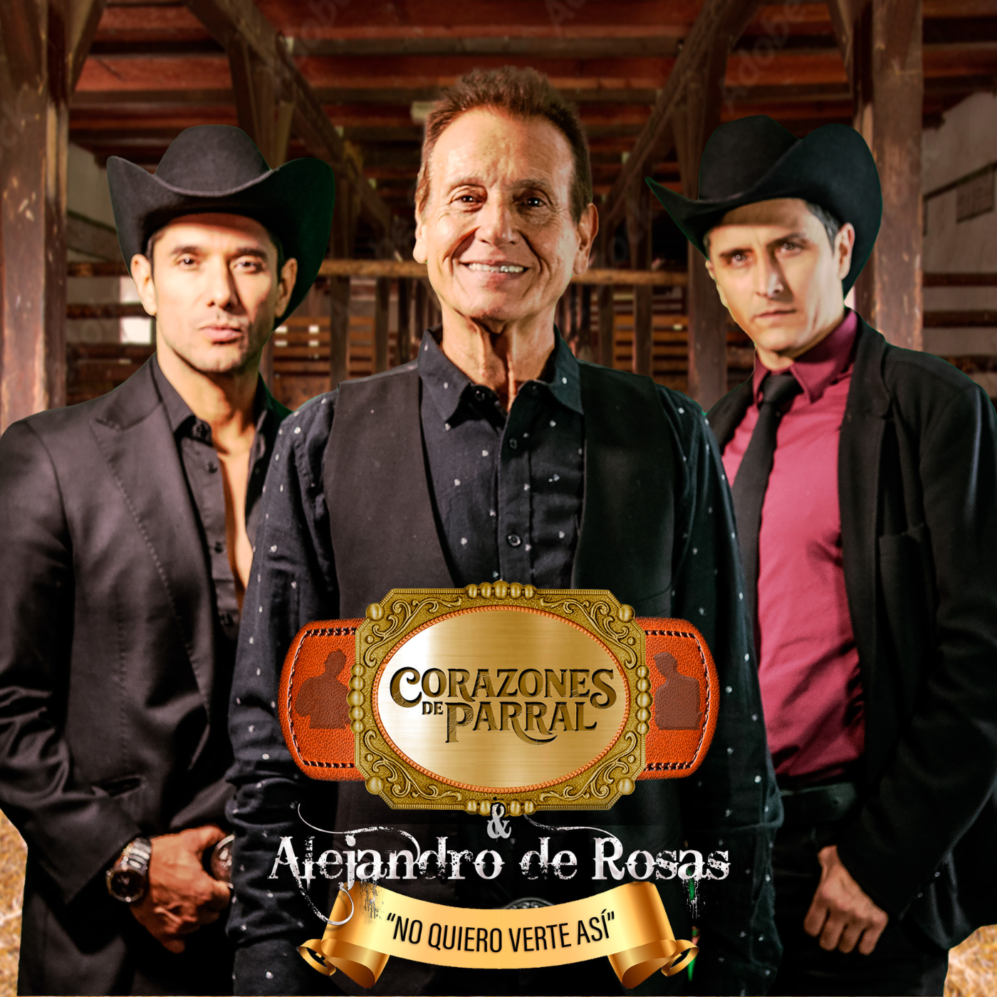 No Quiero Verte Así - Single