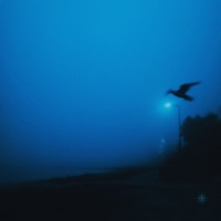 Gliding - Single - flowerpot