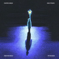 Fleeting Dream (Was It True?) - Single - PARIS The Prince