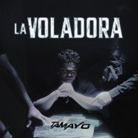 La Voladora - Single - Los Tamayo