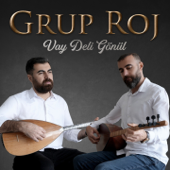 Vay Deli Gönül song art