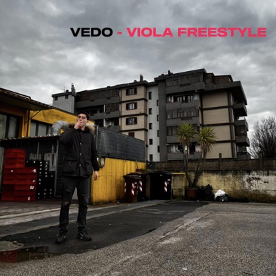 VIOLA FREESTYLE (feat. Socho) - Single