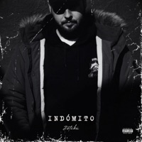 Indómito (feat. Frest Beats) - Single - DETAKÚ