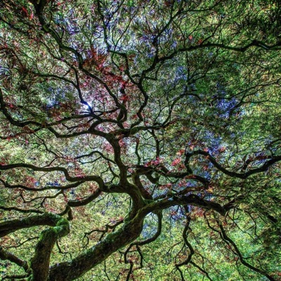 Dr. Geniu$ (feat. Lex) - Single