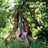 Questions sans réponse (Single edit)