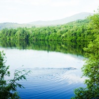 Who Jackie Used to Be - Single - Sad Moses