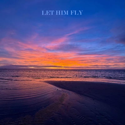 Let Him Fly - Single