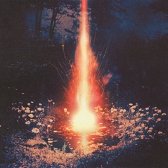 Bloom in Heaven - Single
