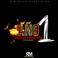 Año 1 - Chombo Panablack