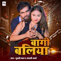 Baggi Ballia - Single - Pujari Lal & Anjali Arya